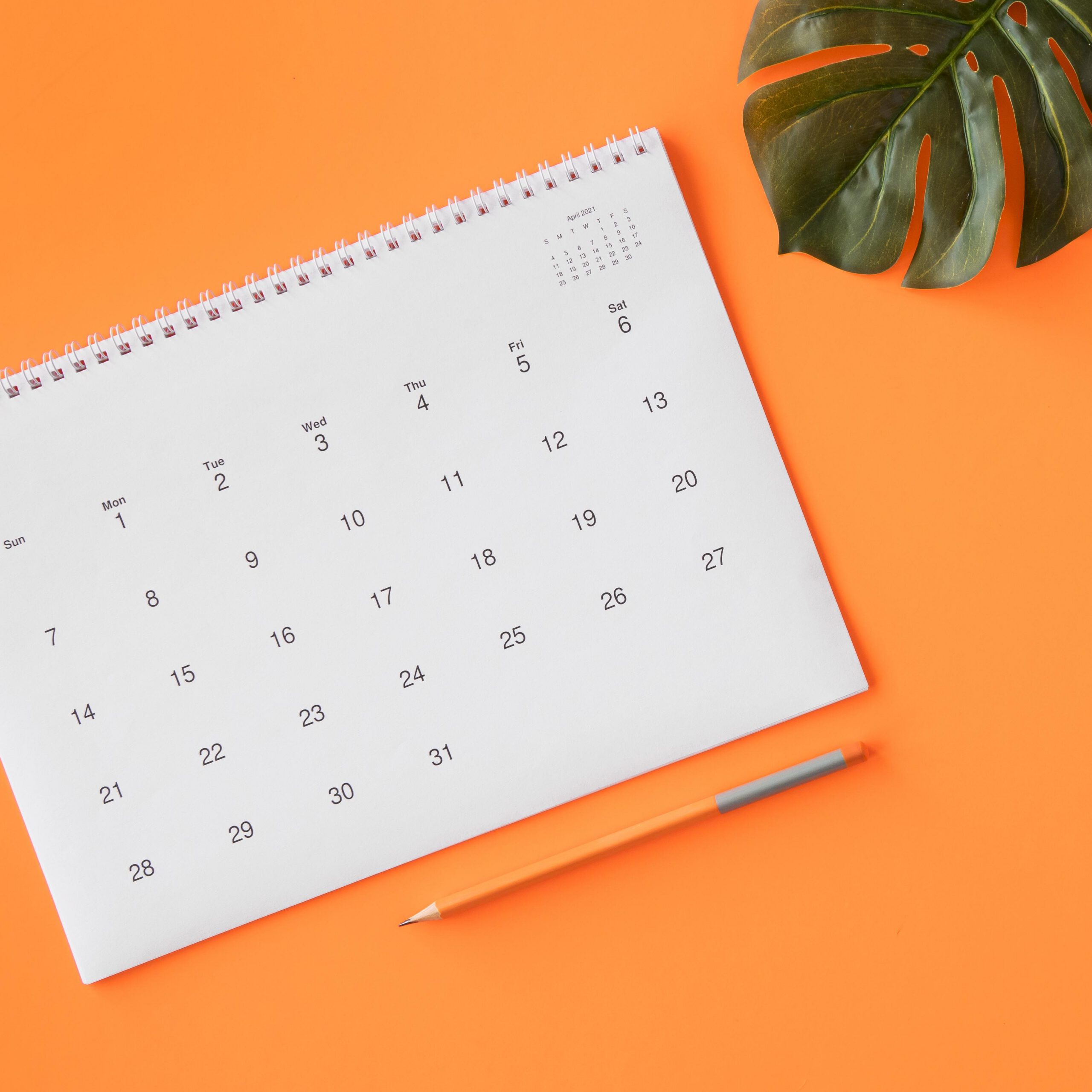 A month of social posts out of one case study